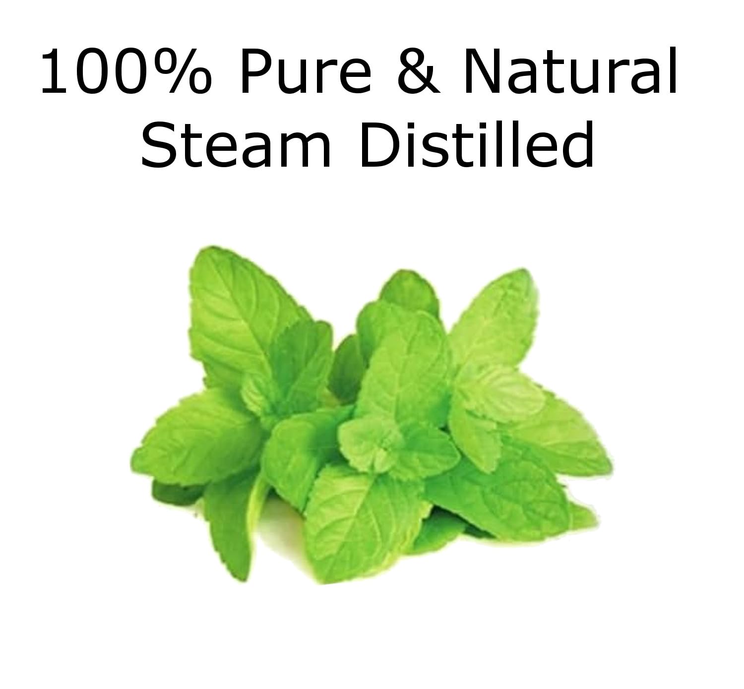 Essentially KateS Peppermint Oil eBook guide supports safe, informed use