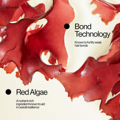 Ingrediente alga roja en Ritual Repair Champú, aporte nutritivo para resiliencia capilar.