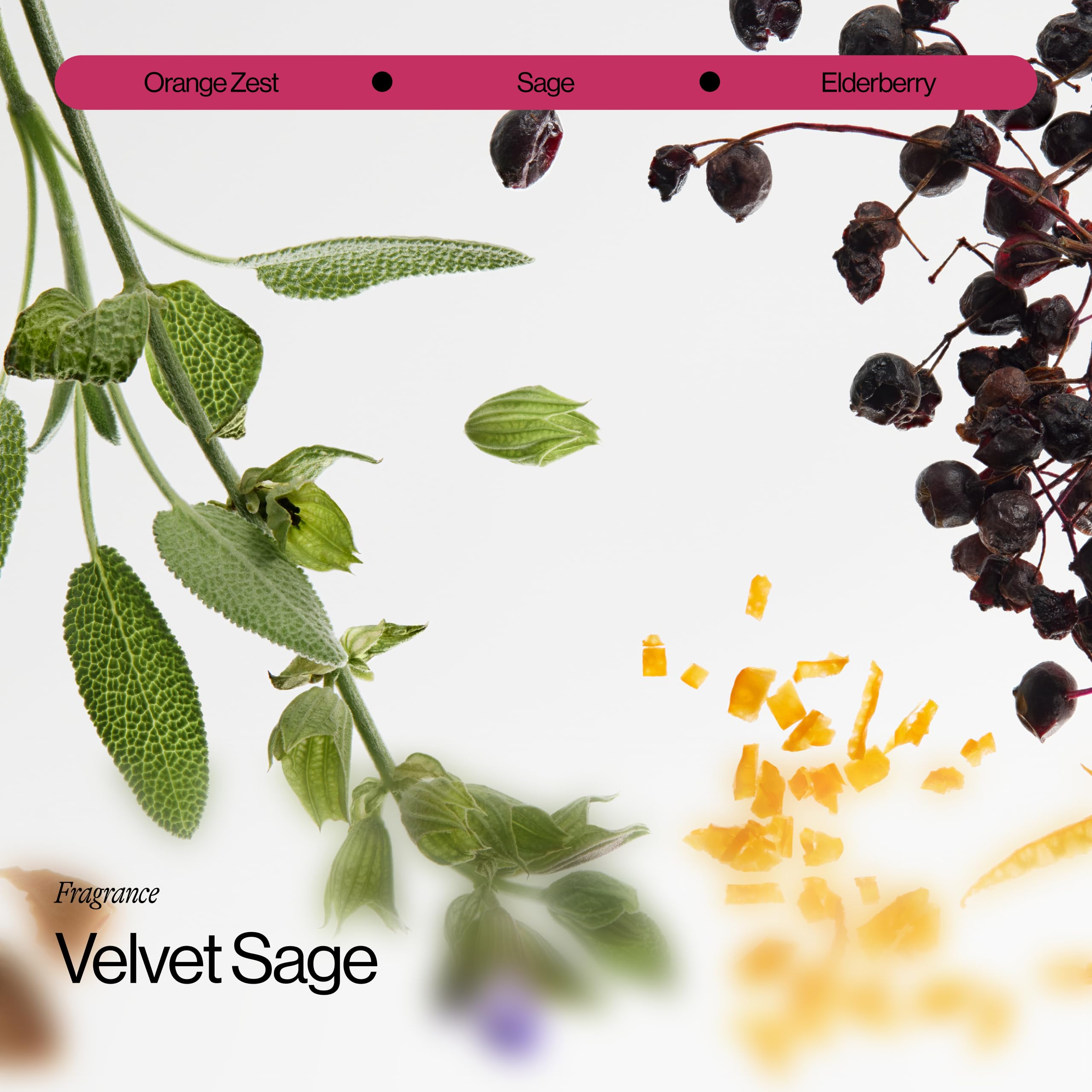 Eva NYC Ritual Repair orange zest and sage scent profile described.