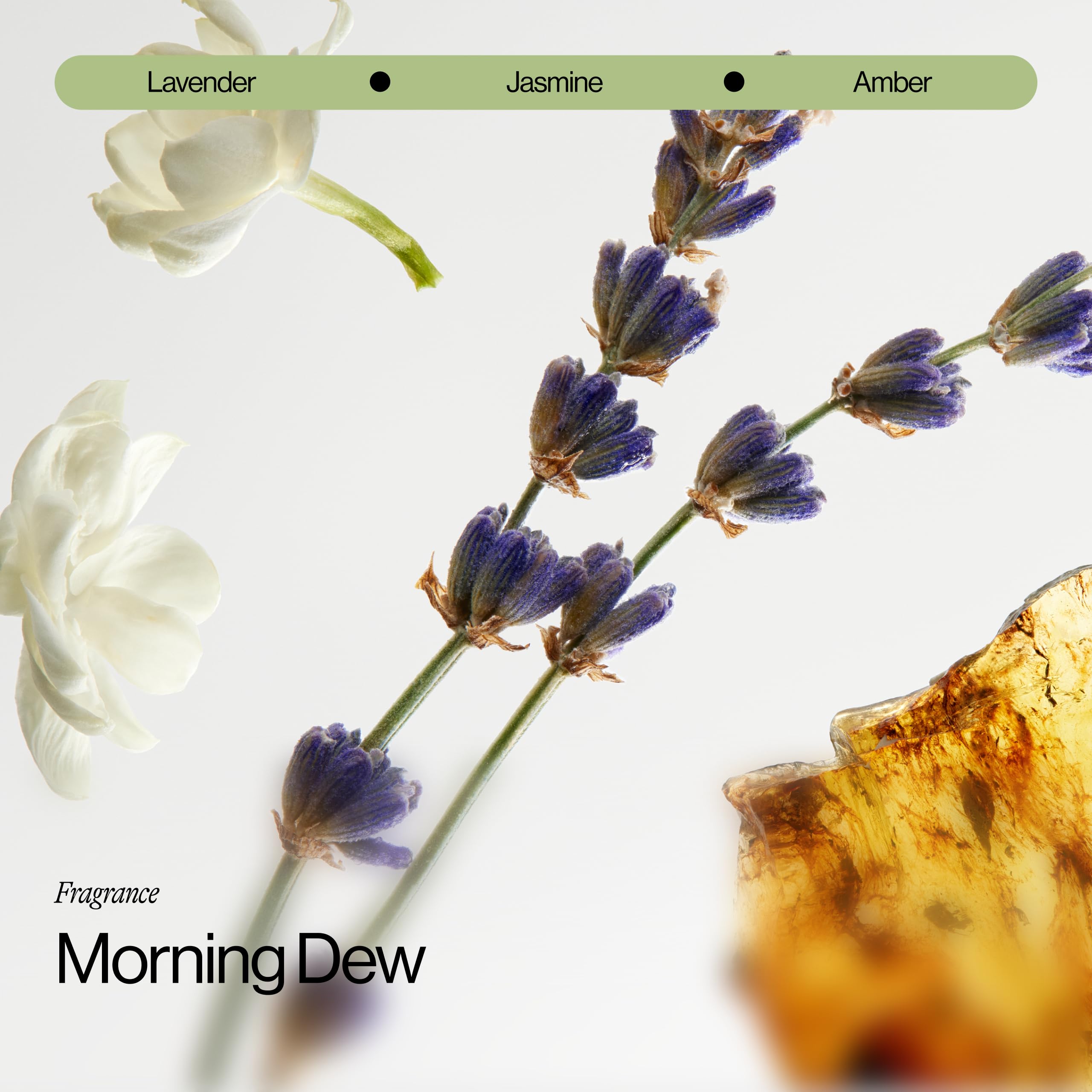 Morning Dew lavender scent in Eva NYC Take Care line with botanical notes