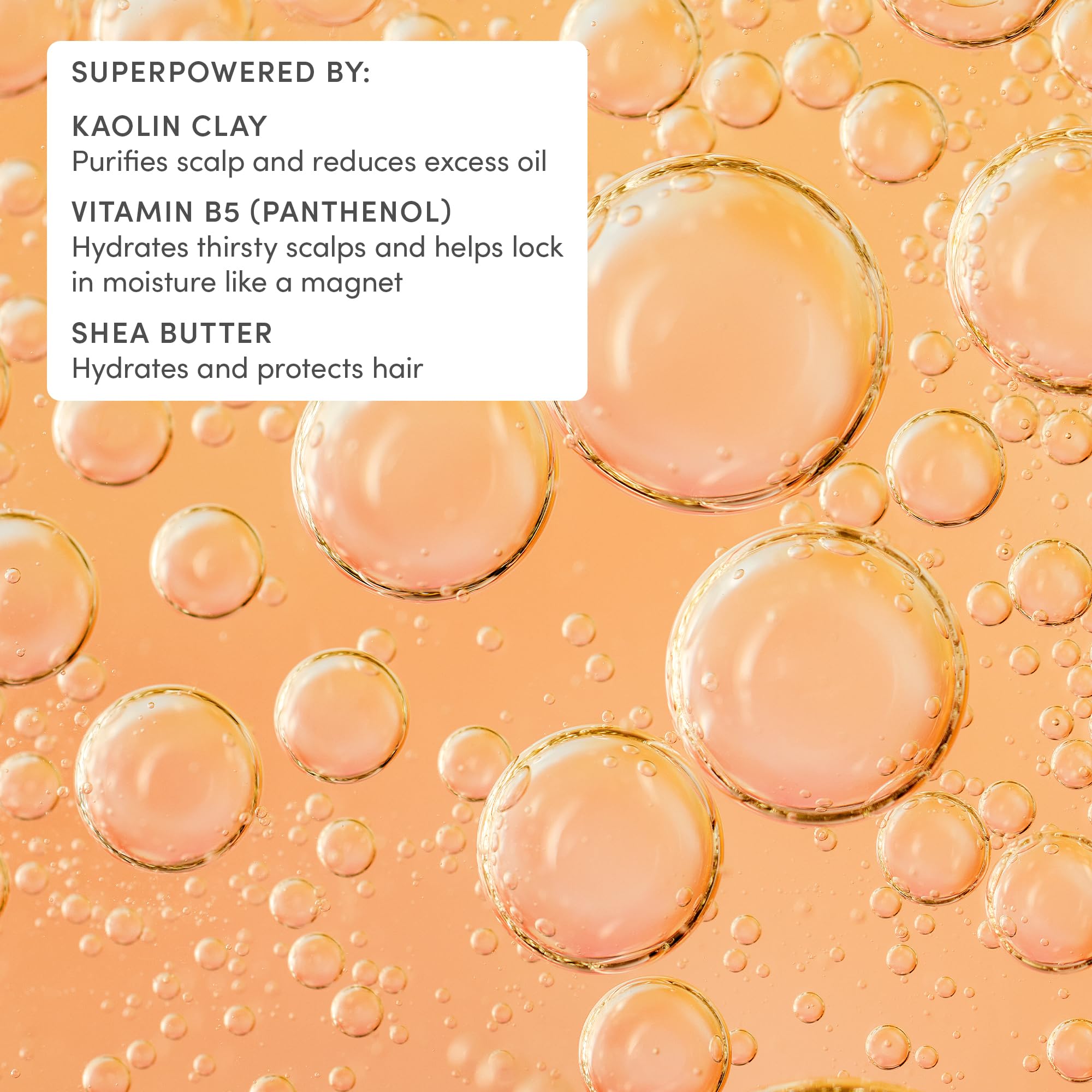Evereden Plant Protein Peptides and Argan Oil add shine and moisture.