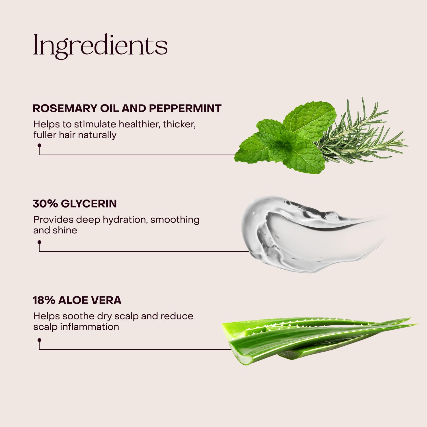 Everist packaging highlights color-safe, clean formula benefits.