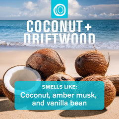Every Man Jack coconut driftwood aluminum-free deodorant for long-lasting protection.