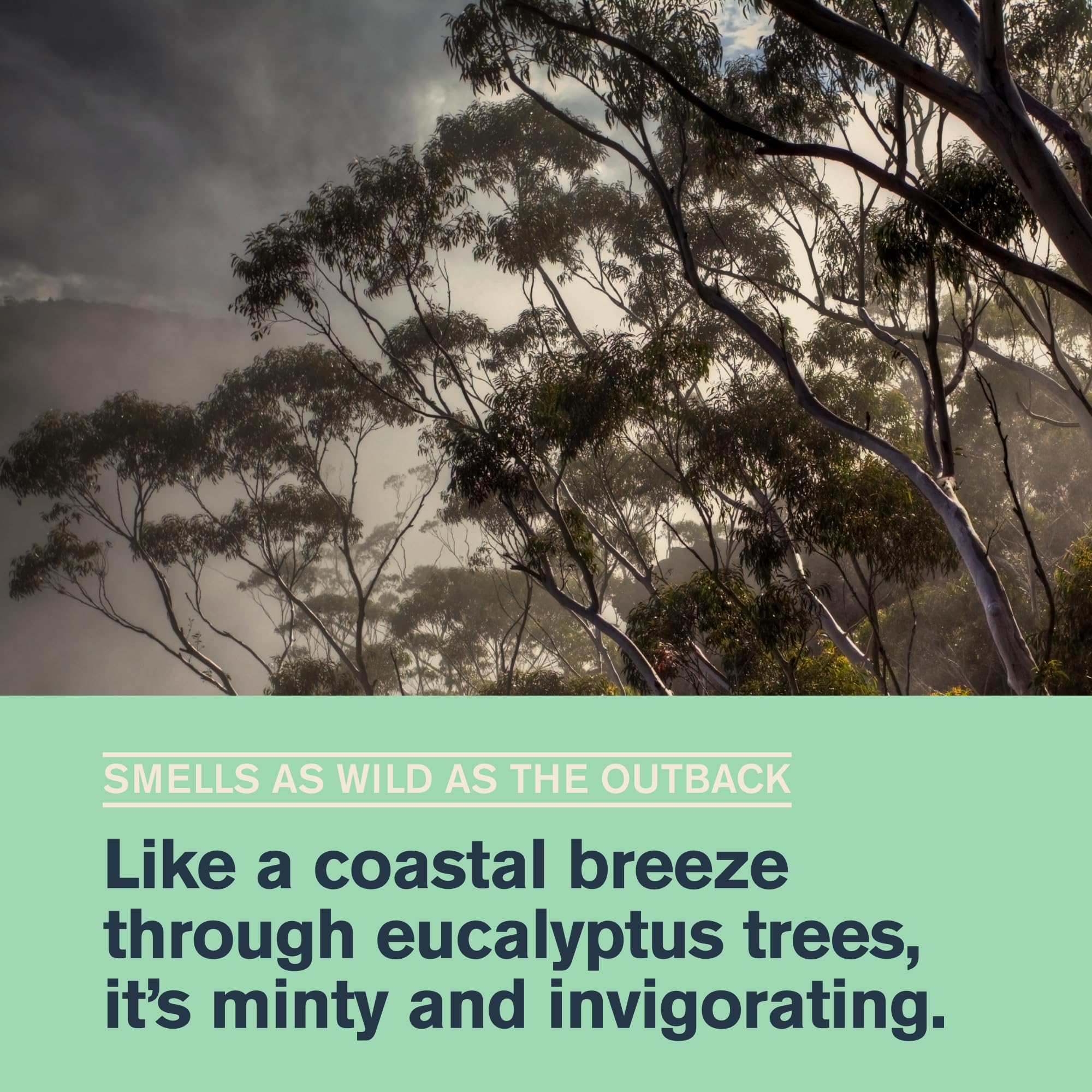 Every Man Jack mint eucalyptus shower scene evoking a wake-up routine.