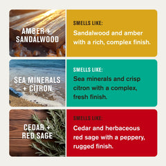 Every Man Jack Sea Mineral + Citron deodorant stick bright citrus aroma