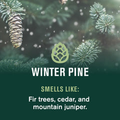Every Man Jack Winter Pine, ingredientes naturales; cuidado suave para la piel durante el invierno.