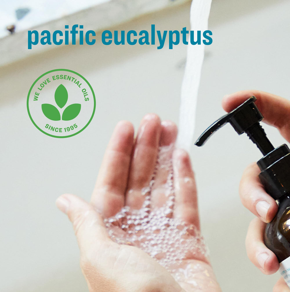 Everyone Pacífico Eucalipto: envases reciclados para cuidar el planeta.