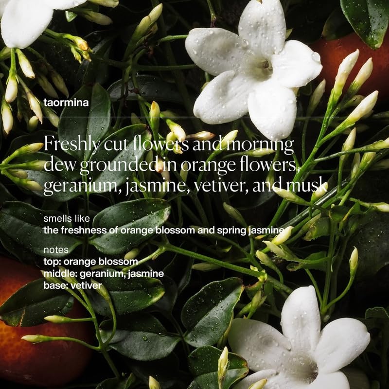 evolvetogether plant-powered absorption texture highlights quick moisture control