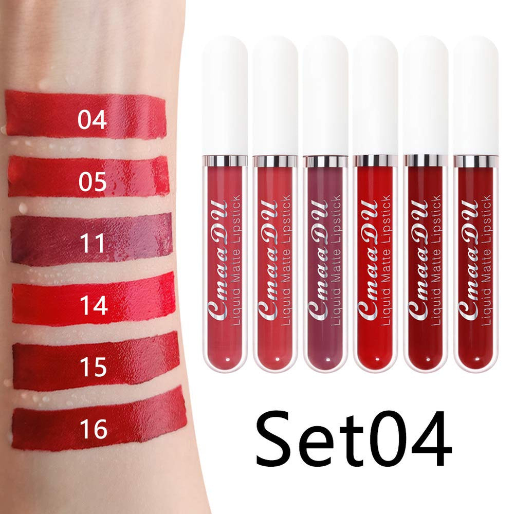 evpct aplicación de labiales mate para acabado uniforme