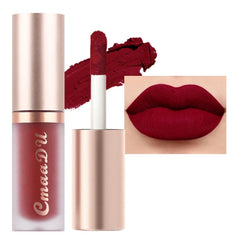 evpct dark sexy red matte liquid lipstick close-up showing rich color and velvety finish