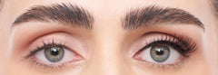 Eylure Volume Accent No. 005 steps help beginners place lashes smoothly.