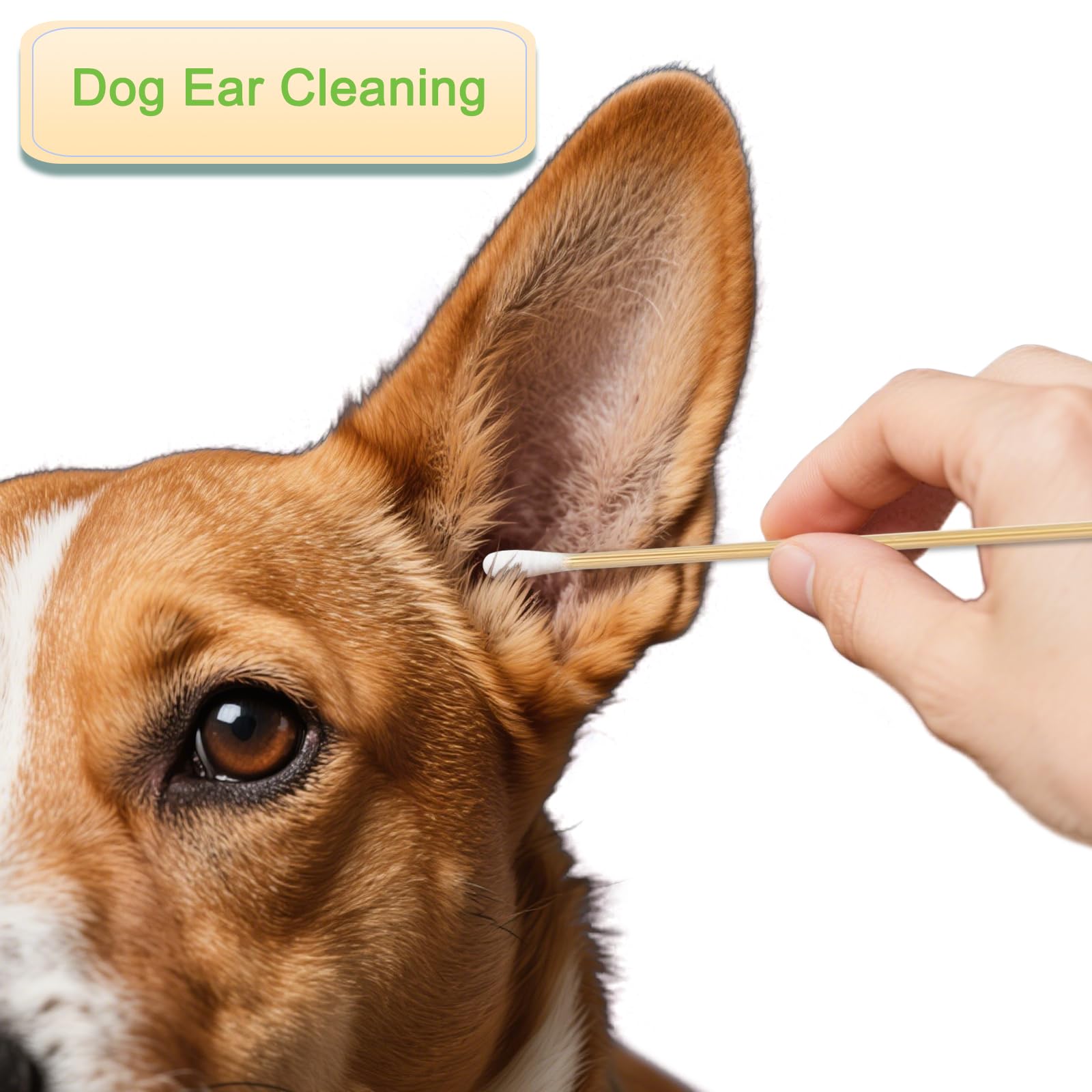 eyxformula camera-lens-cleaning safe for delicate surfaces.