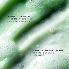 Moringa holy basil arugula blend in Farmacy Green Clean for antioxidant rich care