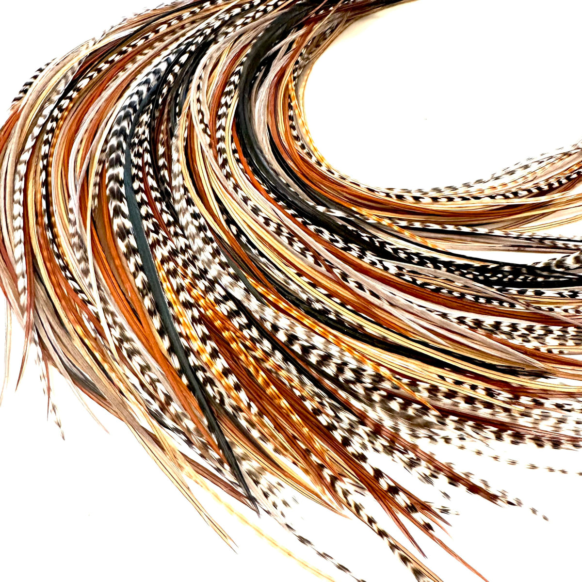 Feather Headz 21 natural color extensions close-up for customizable color flair