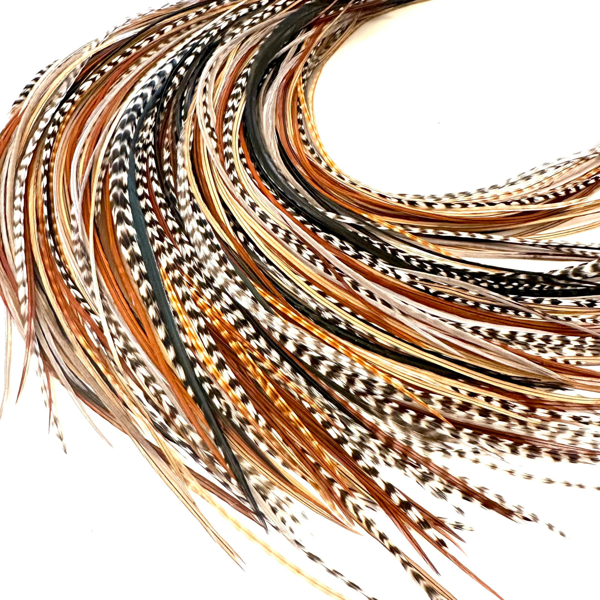 Feather Headz 21 natural color feathers provide lightweight, natural flair for daily styling.