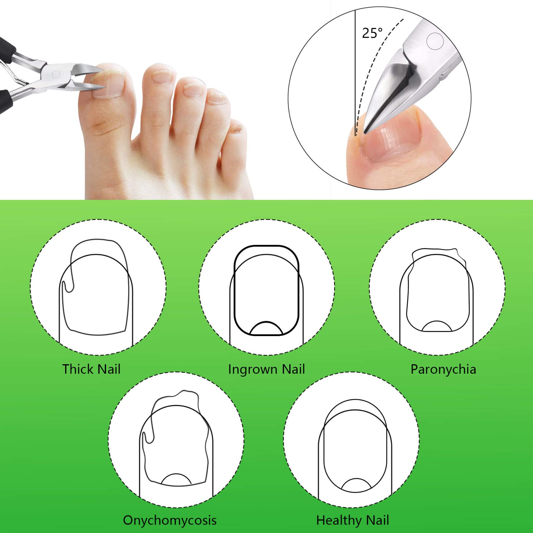 Feiccier non-slip PP handle for comfortable, precise cutting.