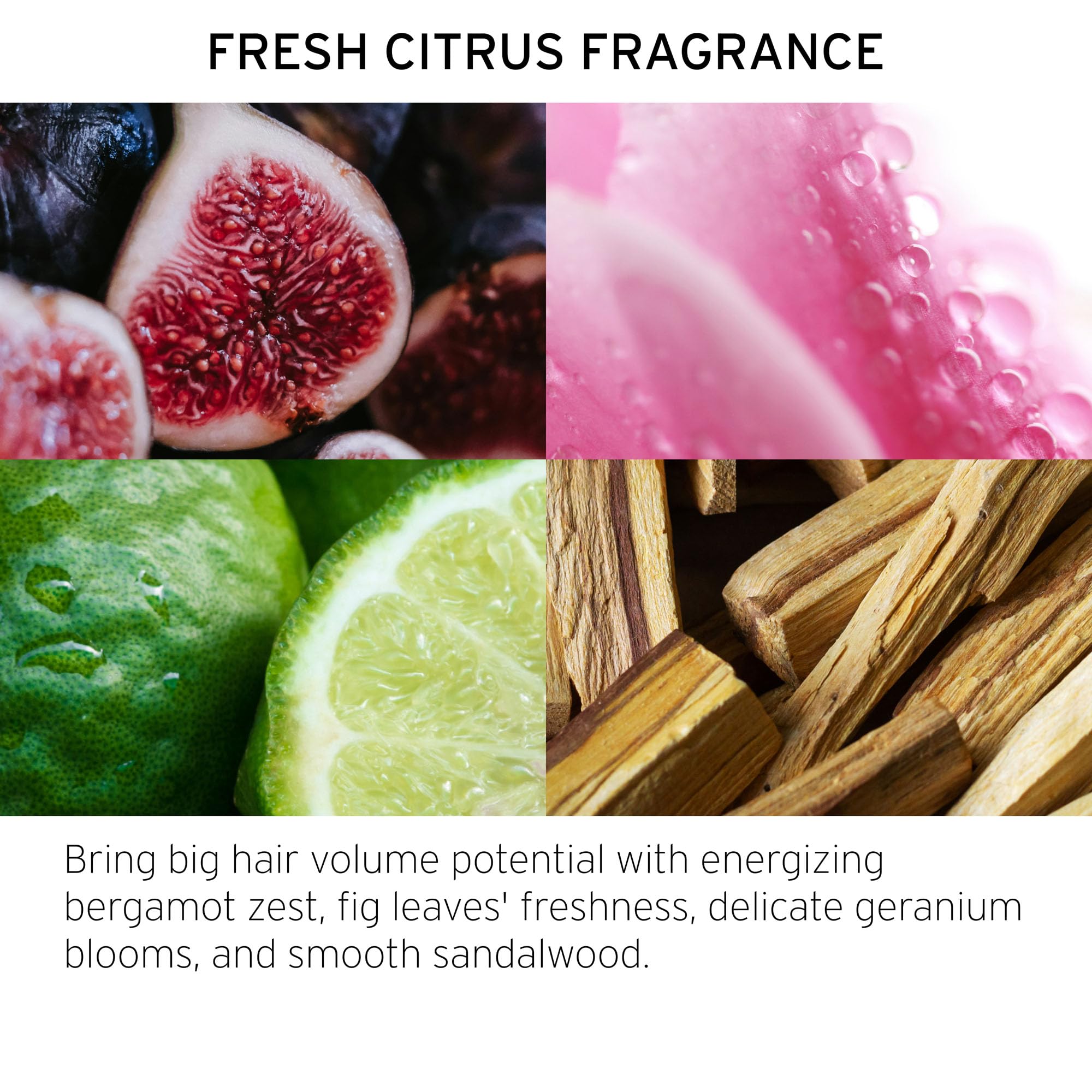 FEKKAI Full Blown Volume Shampoo ingredients panel with coconut water promoting hydration