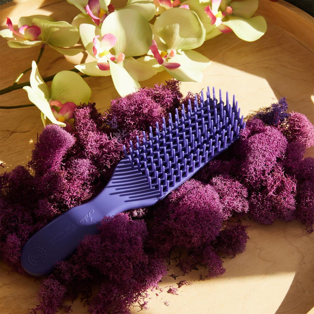 Felicia Leatherwood Detangler Brush, Brush With The Best, designed for comfortable detangling.