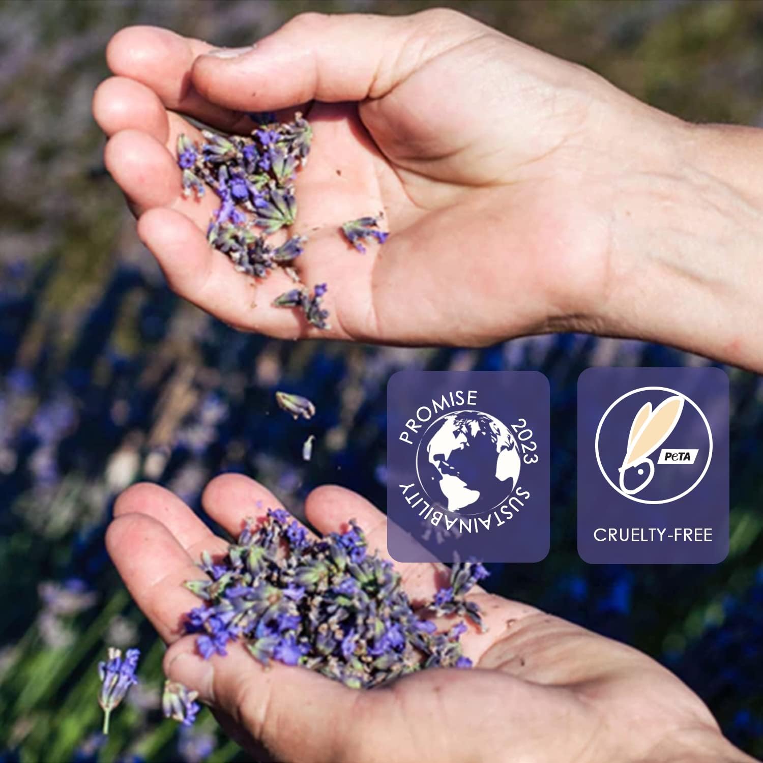FEMIROWAX lavender aroma in wax for a relaxed waxing experience