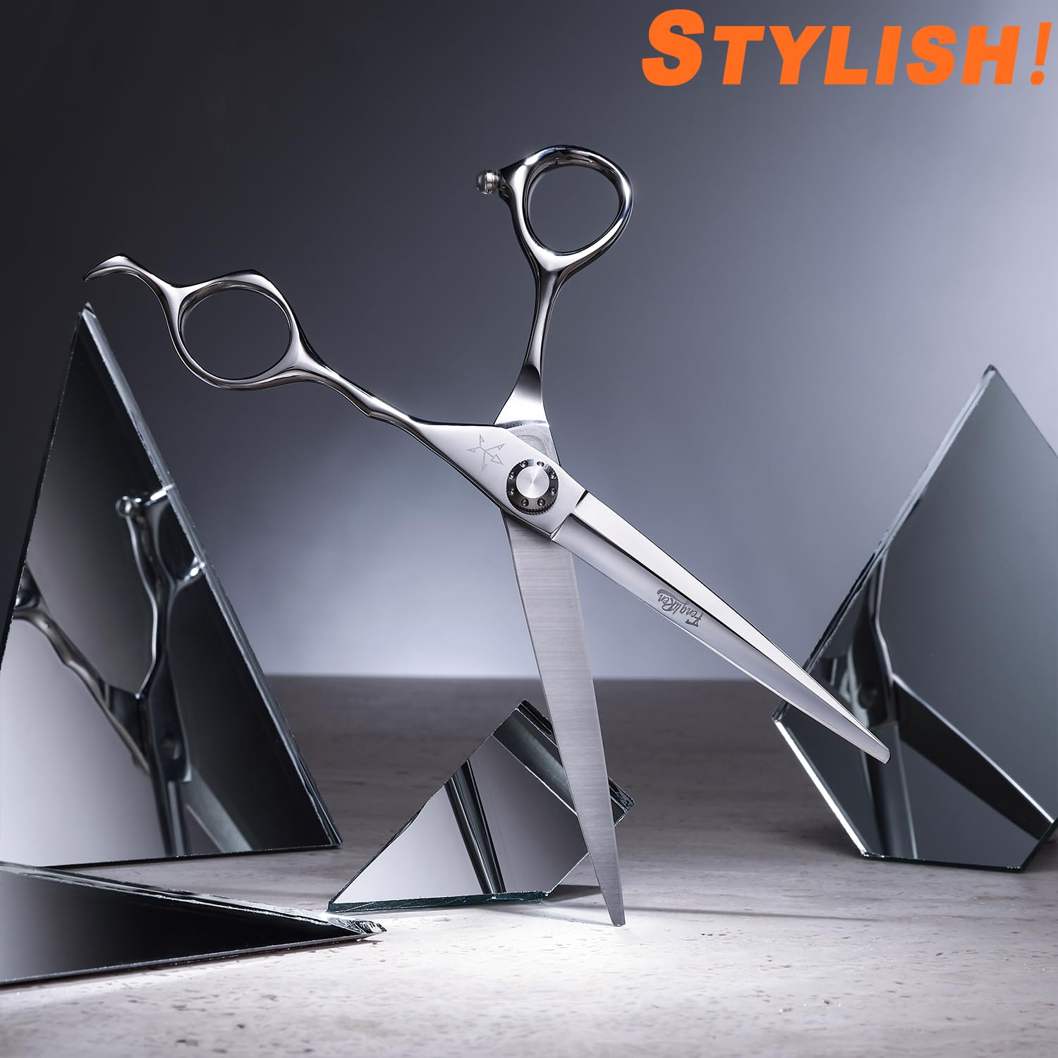 Fengliren salon-use oriented design suitable for professionals and home use