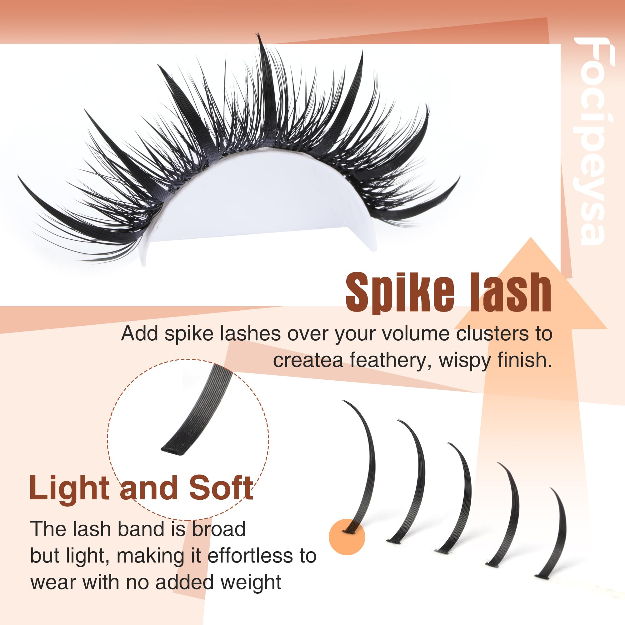 Focipeysa spike clusters with mixed lengths and D-curl for dimensional daily wear