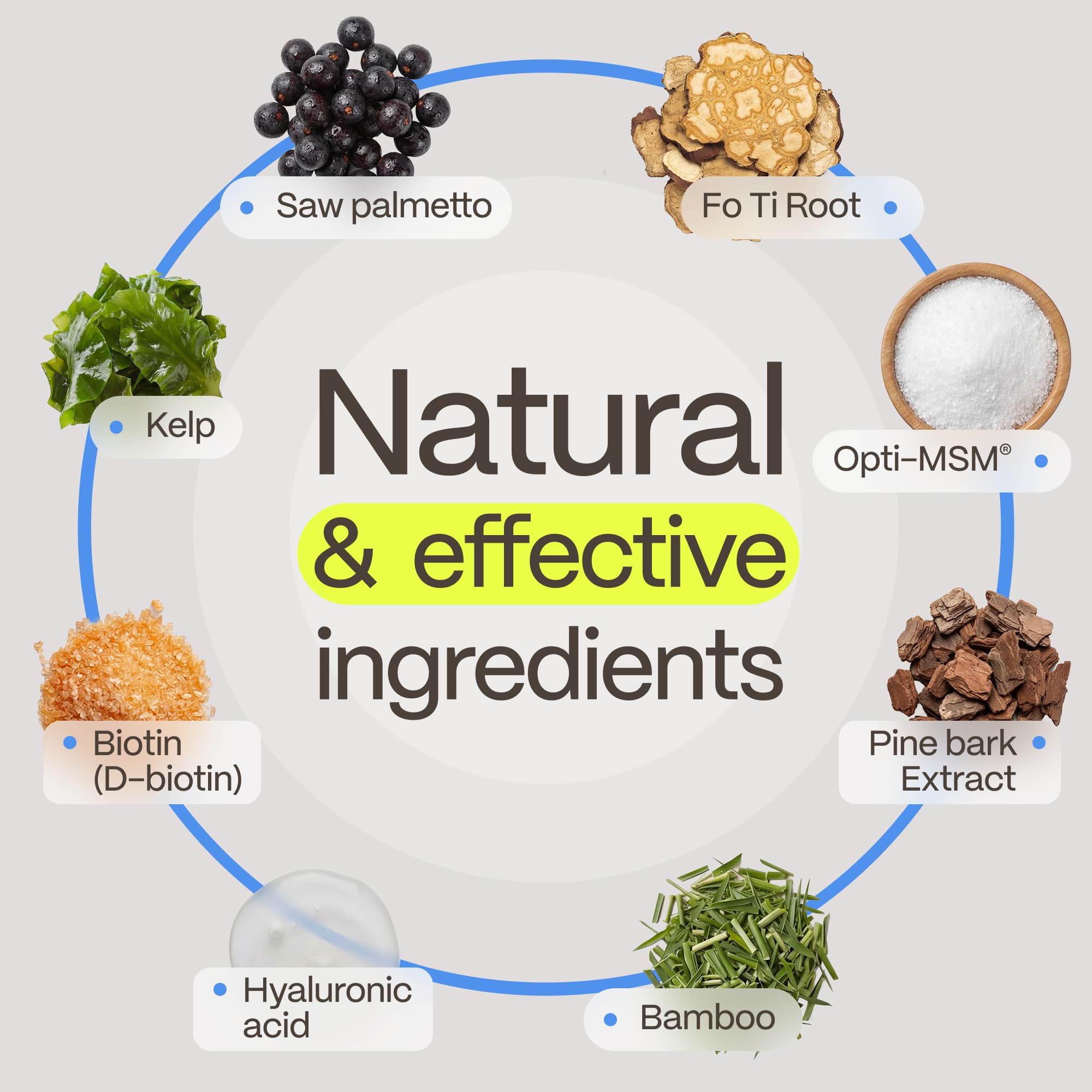 FoliGROWTH natural kelp for thyroid support visual