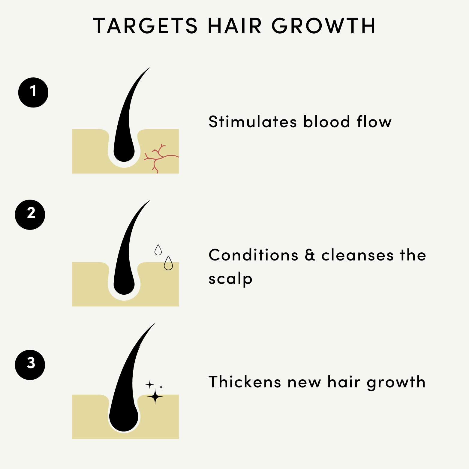 Forest & Shore ingredient blend with castor and rosemary for scalp nourishment