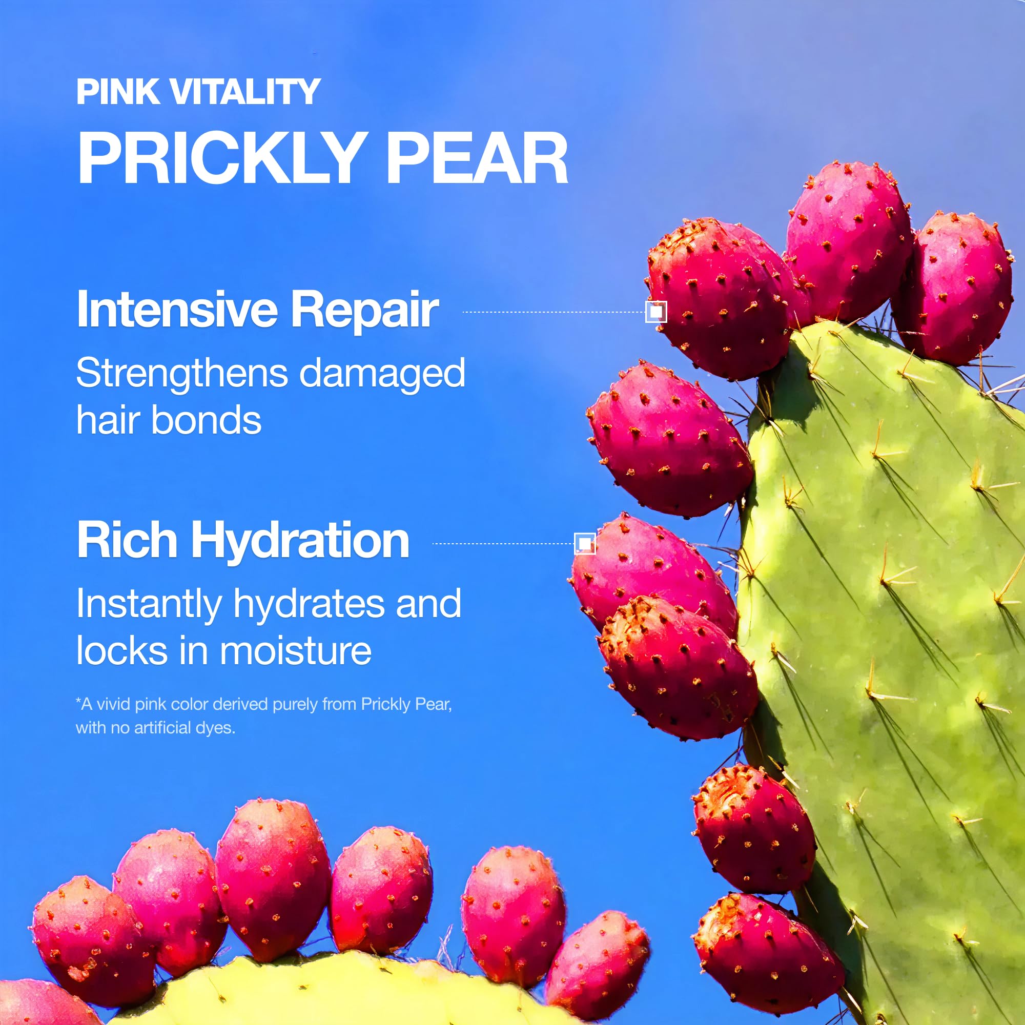 FromLabs sulfate-free formula label communicates gentleness for color-treated or delicate hair