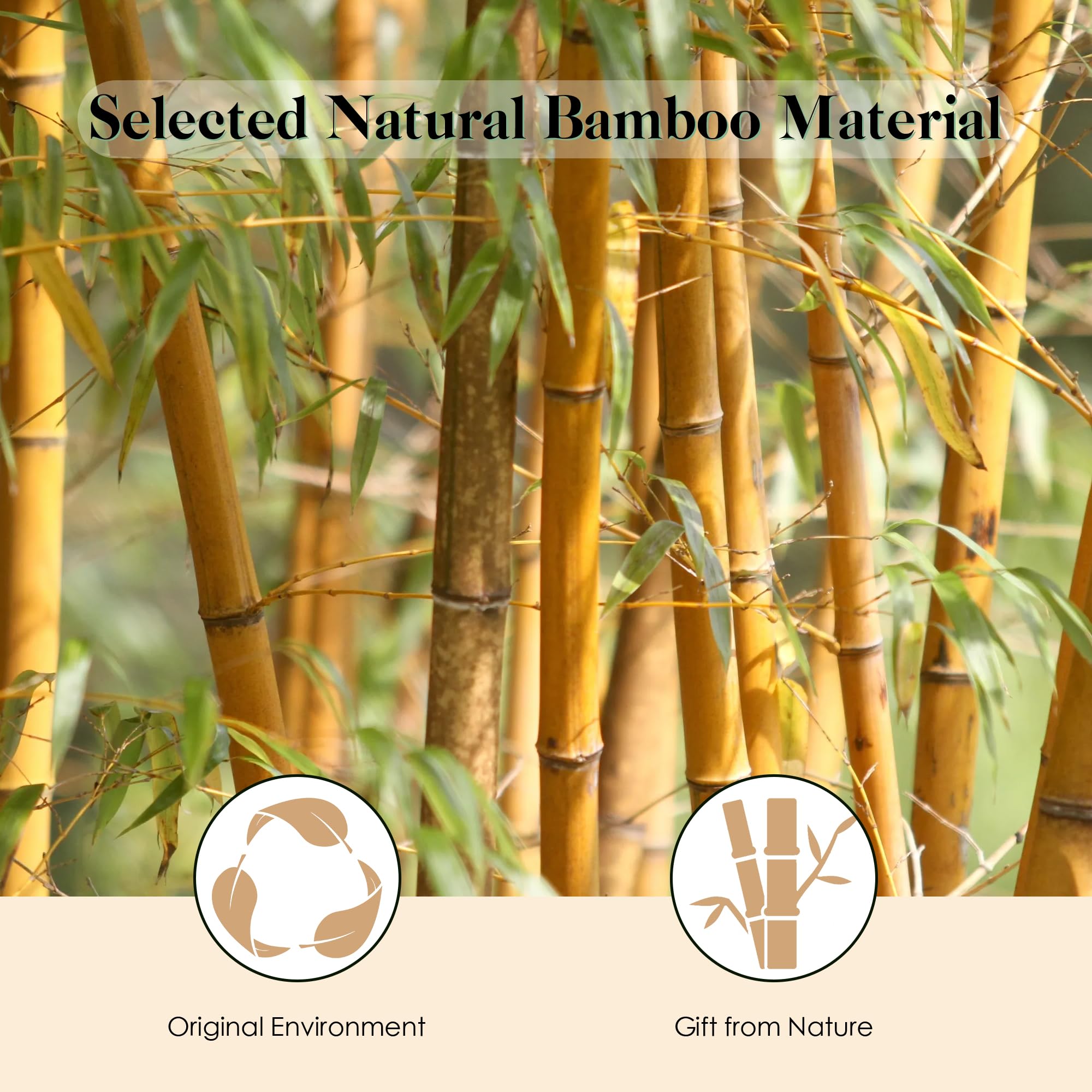 GAINWELL bamboo brush demonstrates scalp massage feature for relaxation.