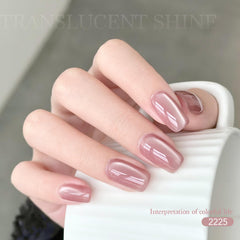 GAOY Jelly Pink Silver Cat Eye set profesional para manicura en casa.