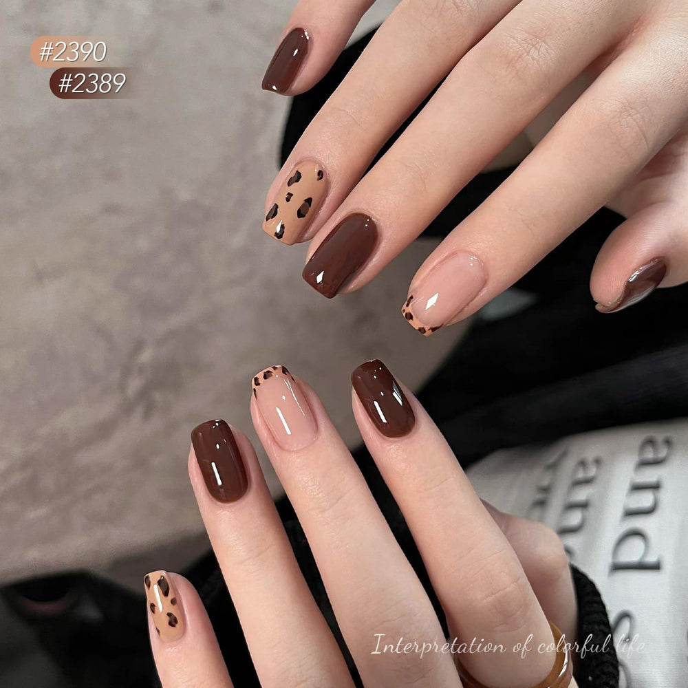 GAOY kit gel seis tonos para crear estilos variados.