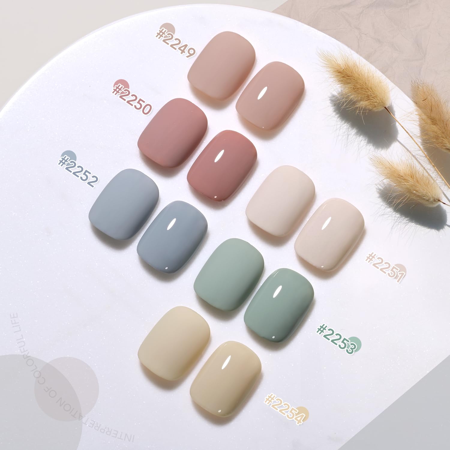 GAOY Neutral gel nail polish set: presentación en caja para un regalo elegante y práctico.