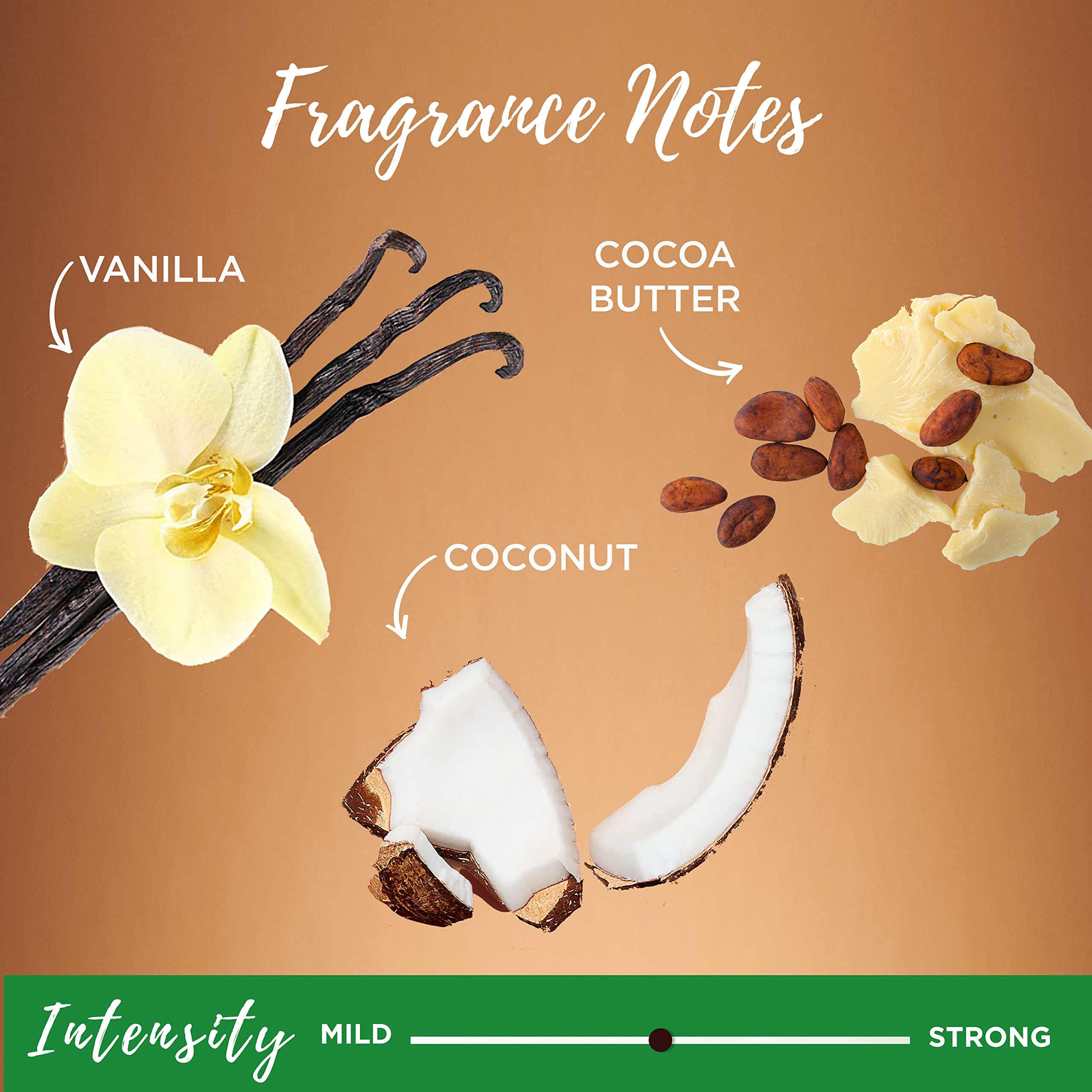 Garnier Whole Blends Frizz 24h: control duradero del encrespamiento