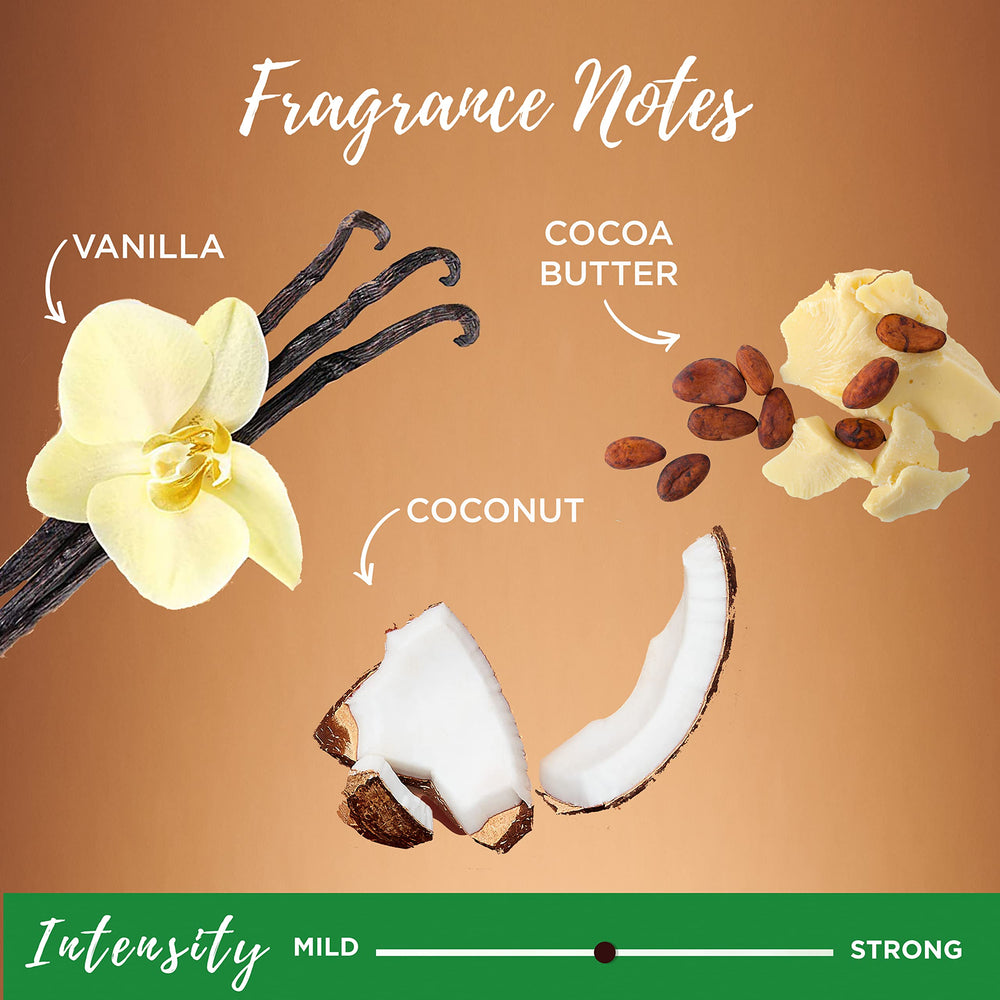 Garnier Whole Blends Frizz 24h: control duradero del encrespamiento