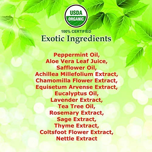 Ingredientes botánicos de Giovanni con árbol de té para brillo natural.