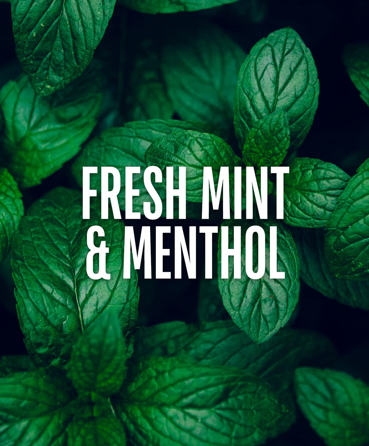 GO247 fragancia fresca de menta: aroma renovador para la ducha.