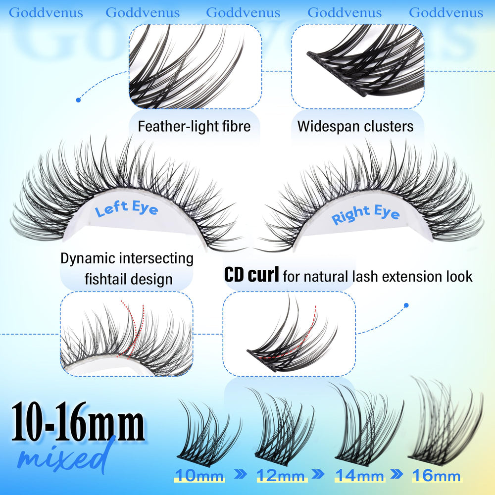 Goddvenus CD Curl lashes lift eyes with a delicate, natural curl.