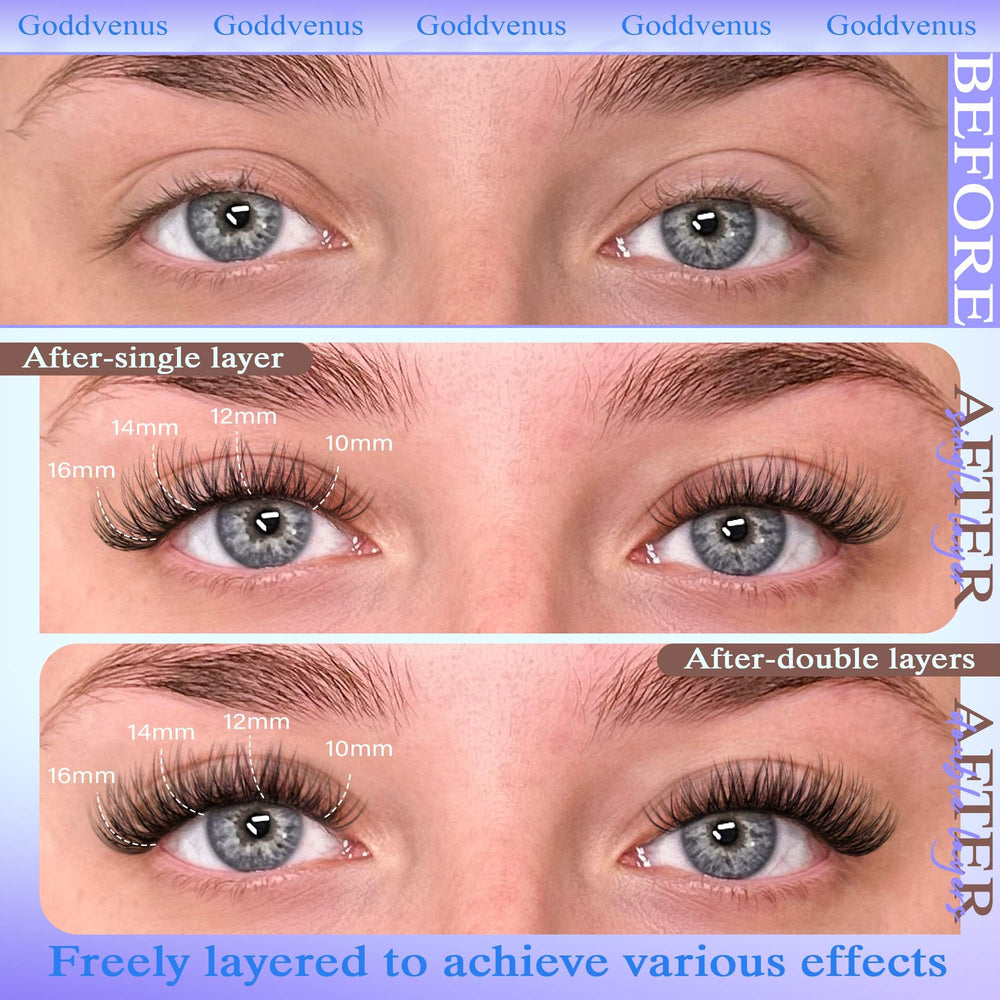 Goddvenus wispy clusters suit diverse eye shapes for a natural flutter.