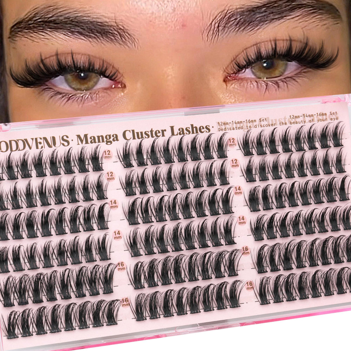 Goddvenus Manga Lash Clusters 12mm for natural, voluminous flutter.