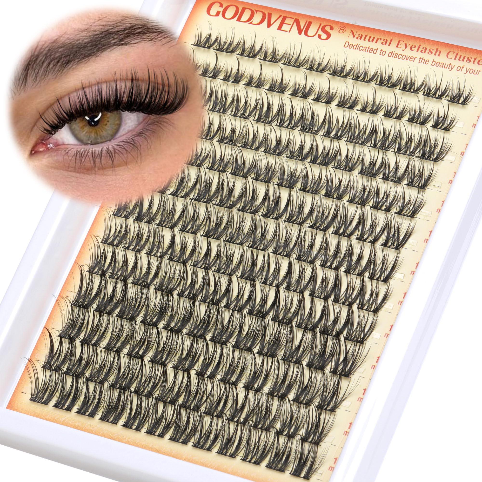 Goddvenus Wispy Lash Clusters pack showing 10-16mm lengths for customizable volume