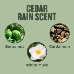Gold Bond Cedar Rain crema manos con aloe vera y vitamina E para calmar.