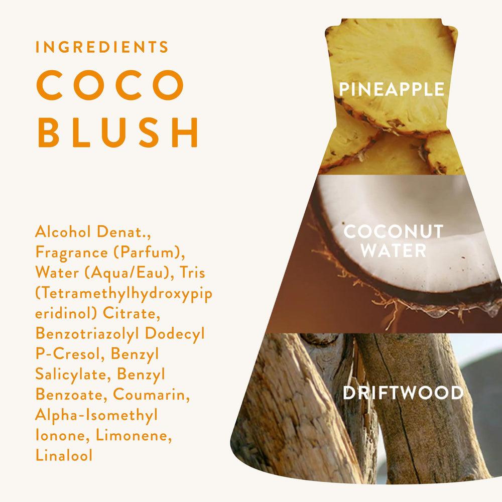 Coco Blush mini travel spray ideal for trips and gifting.