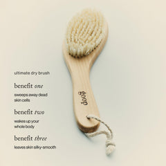 goop Beauty dry brush natural sisal bristles sweep away dead skin for radiance