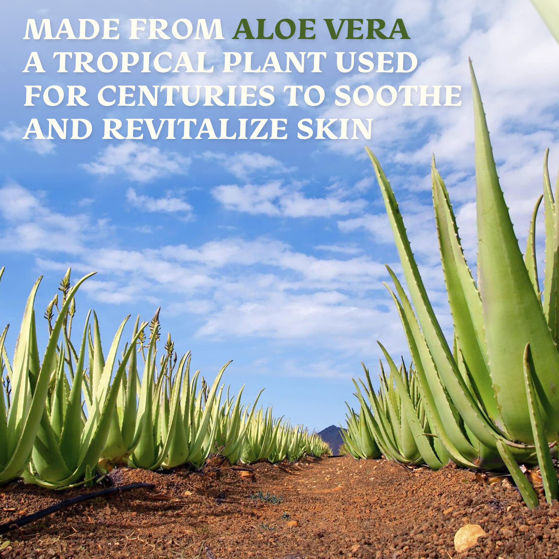 Green Leaf Naturals Aloe Vera gel piel sensible, calma irritaciones leves