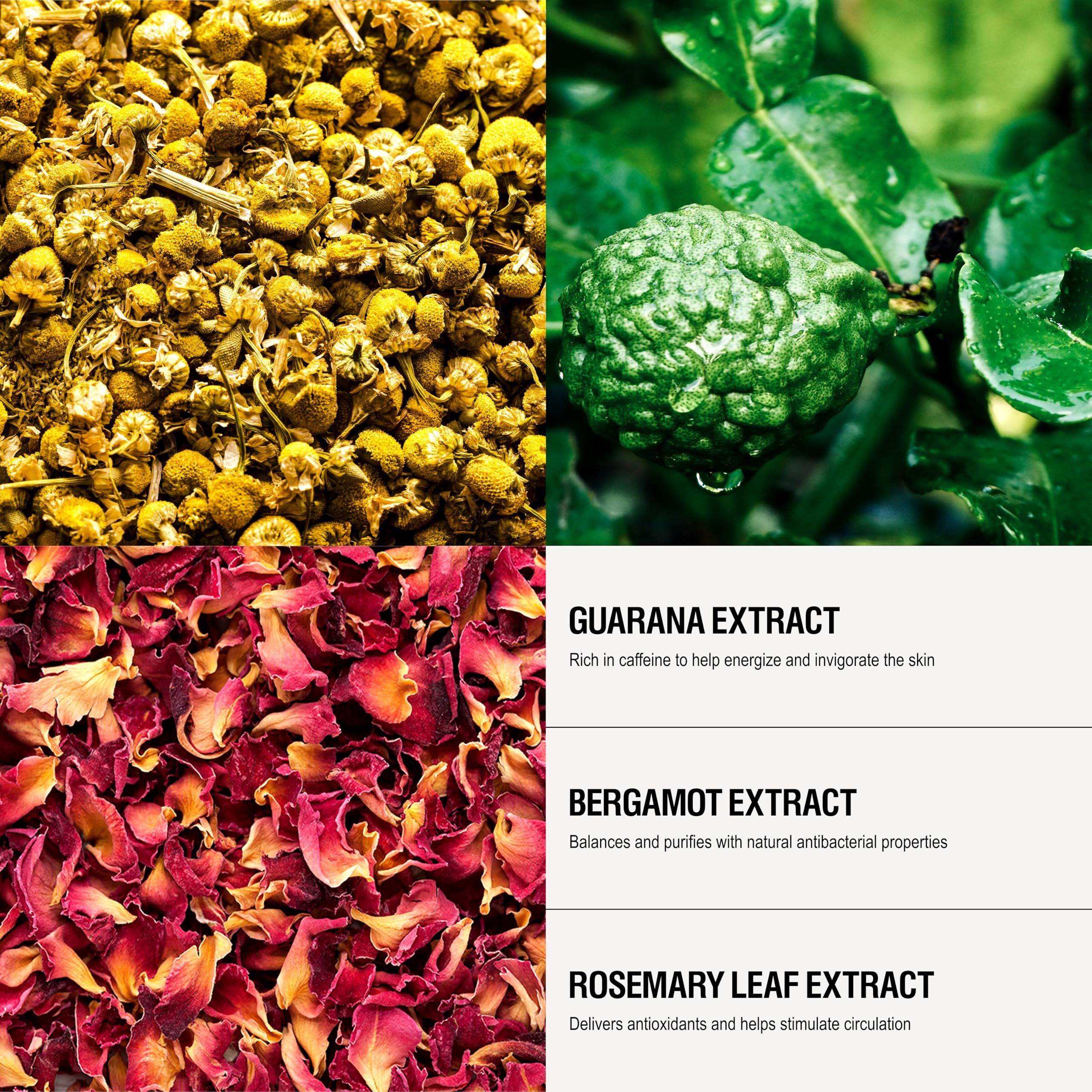 Grown Alchemist Energize Bergamot Rosewood set captures uplifting fragrance.