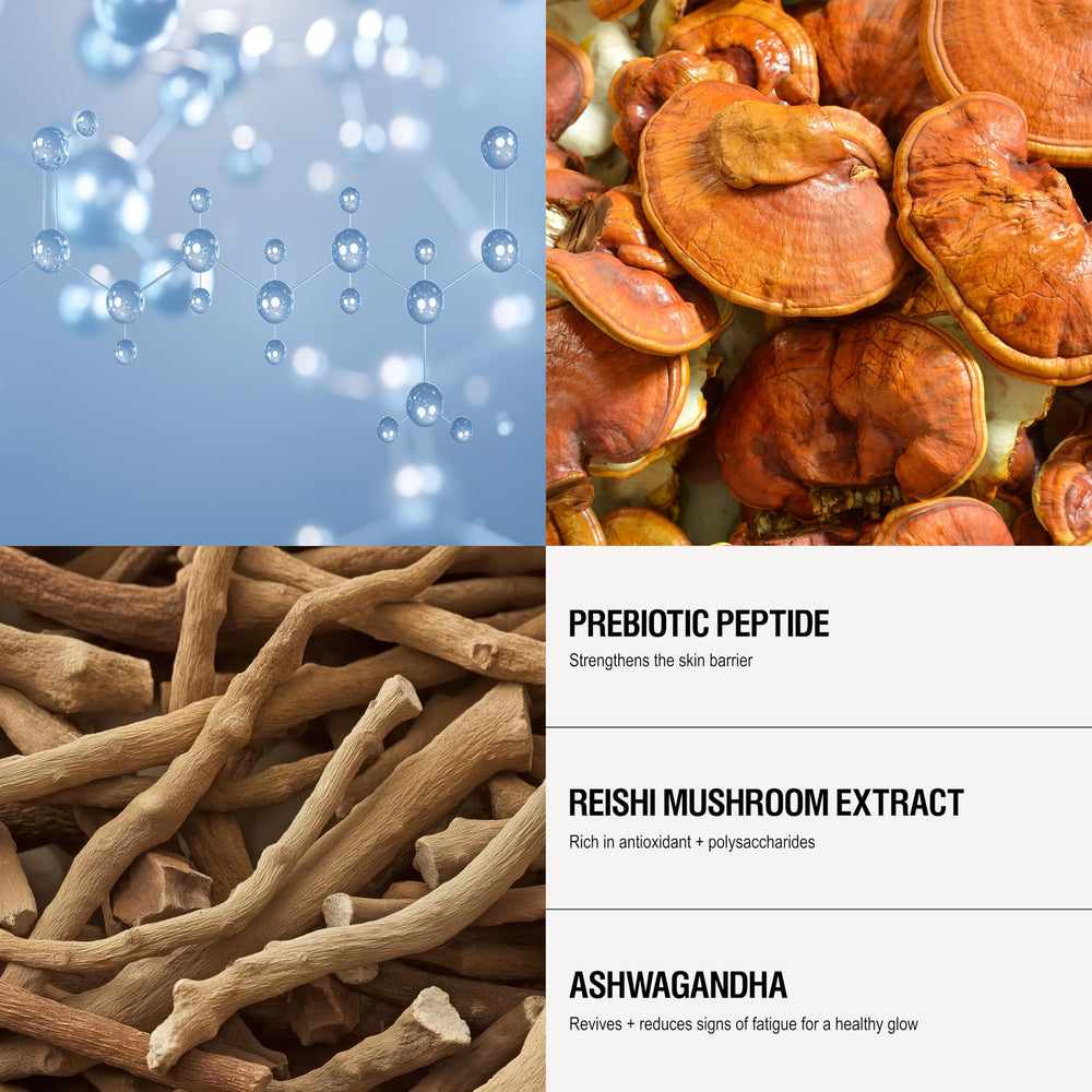 Hydrating formula from Prebiotic Peptides and Reishi helps skin resilience.