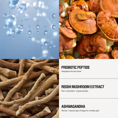 Hydrating formula from Prebiotic Peptides and Reishi helps skin resilience.