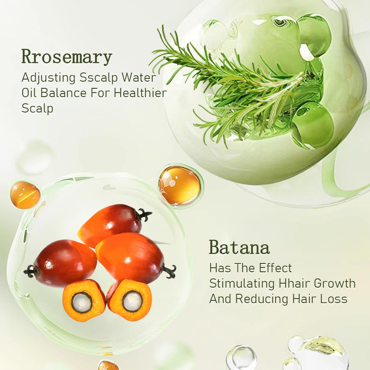 Gypsophila Batana Oil ingredients closeup with rosemary highlighting purity.