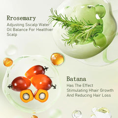 Gypsophila Batana Oil ingredients closeup with rosemary highlighting purity.
