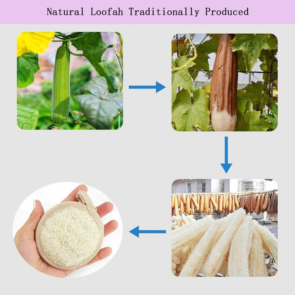 Haikuluo biodegradable loofah material highlights eco-friendly care.